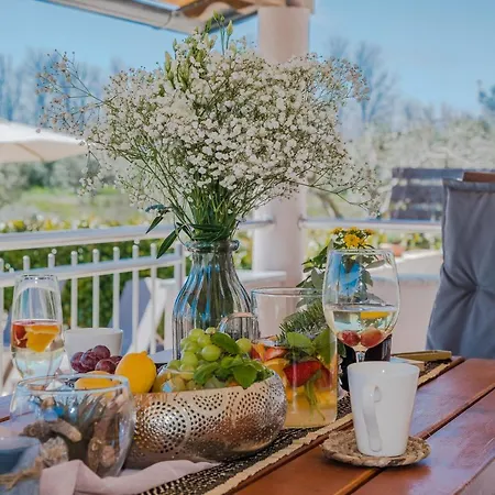 House Paula Sa Privatnim Grijanim Bazenom Na Mirnoj Lokacija Blizu Mora * Privlaka (Zadar)